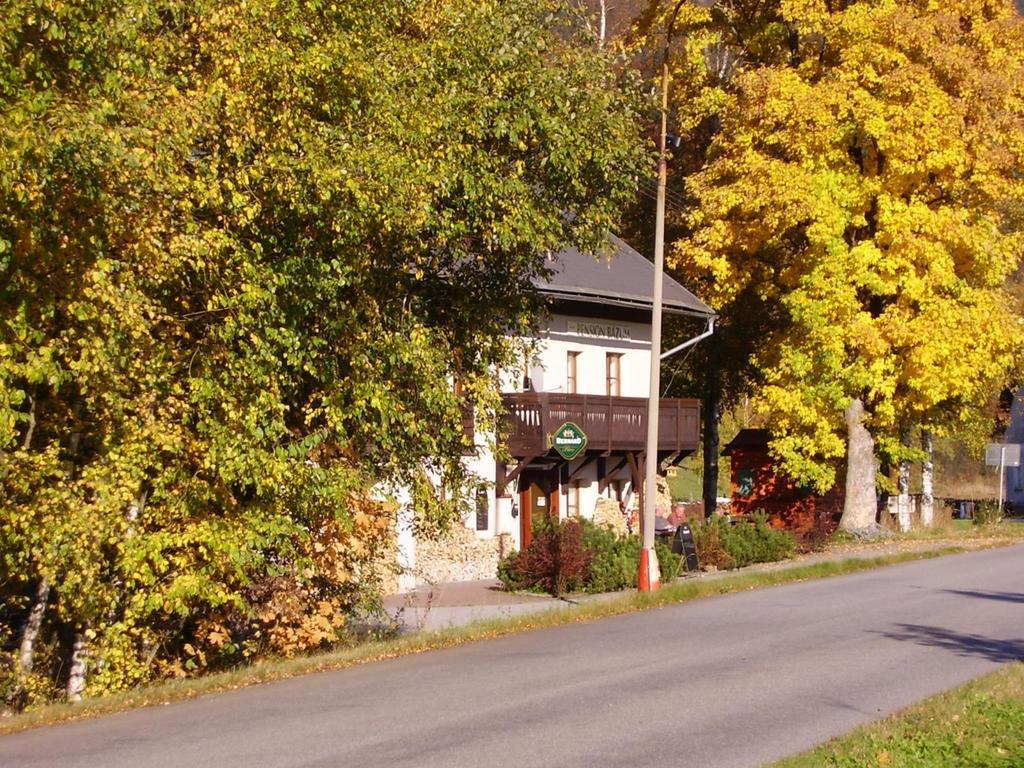 Hotel Penzion Bázum Horní Vltavice Exterior foto